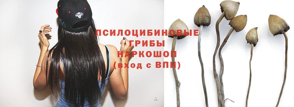 альфа пвп Заволжье