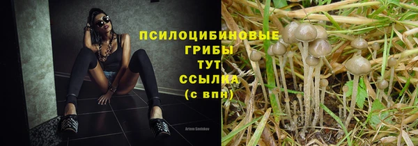 спайс Заволжск
